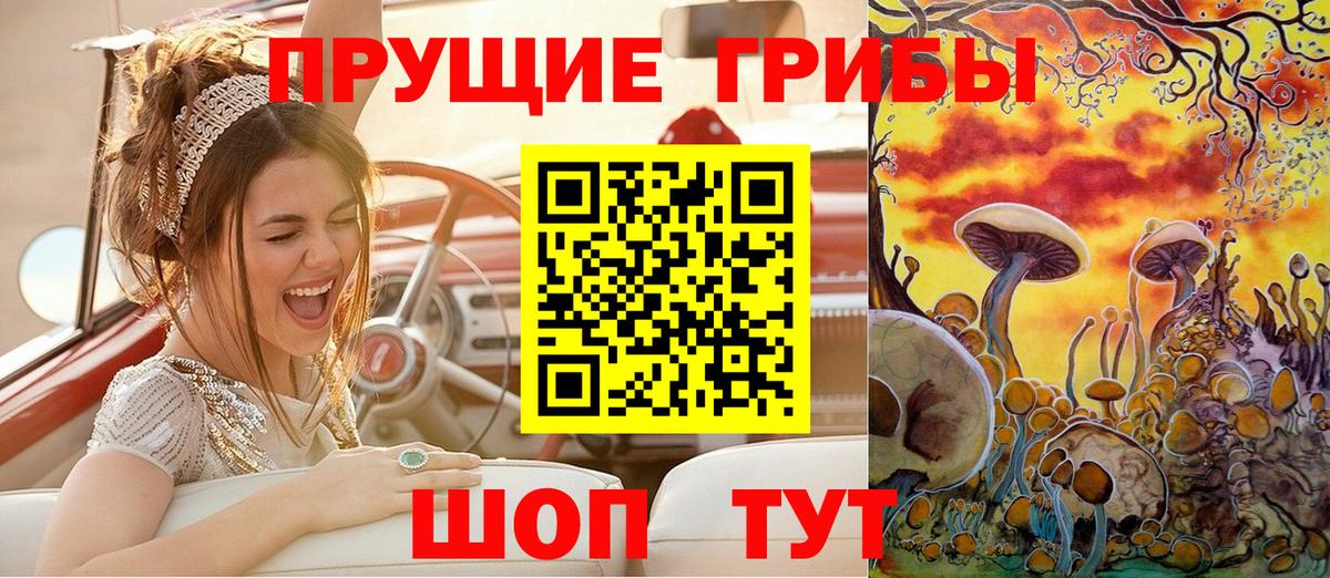 Галлюциногенные грибы Cubensis  хочу наркоту  Вход с VPN  Армавир  Галлюциногенные грибы GOLDEN TEACHER 