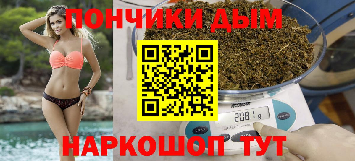 Бошки Шишки VHQ Армавир