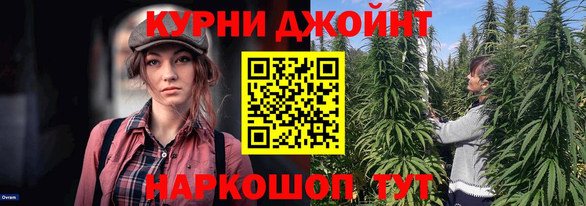 Канабис конопля  Канабис планчик  Конопля MAZAR  МАРИХУАНА MAZAR  Армавир  Вход с VPN 